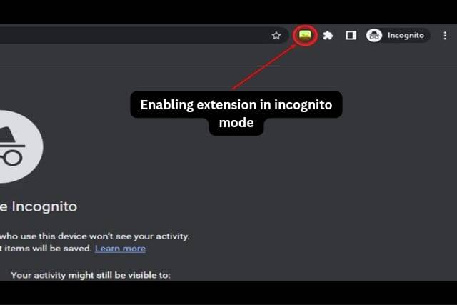 How to Use Extensions in Incognito Mode in Google Chrome
